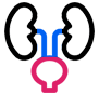 Urology Image